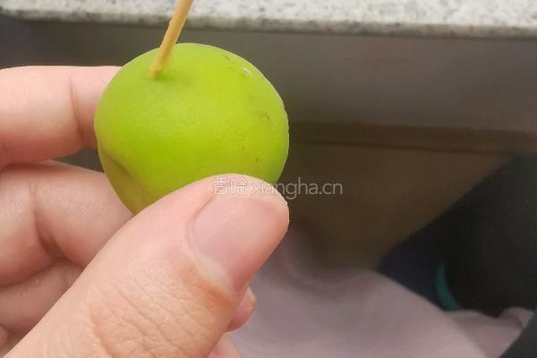 青梅酒的做法图解5