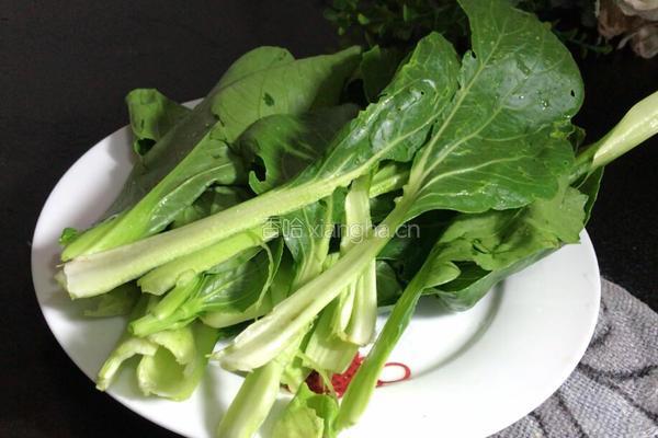 皮蛋豆腐汤的做法图解4