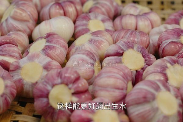 传统江浙沪小吃糖蒜做法 5月下旬的新蒜最适合这样做的做法图解3