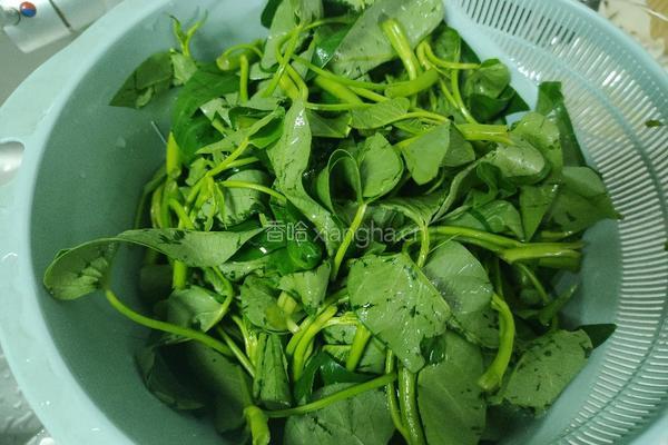 清炒空心菜的做法图解1
