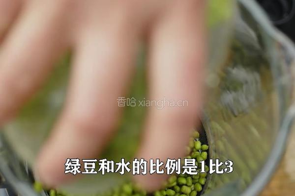 夏天减脂菜绿豆凉粉 做法Q弹爽滑 还不长胖的做法图解2