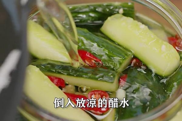 1小时就能做好的泡黄瓜条 酸辣脆爽的做法图解6