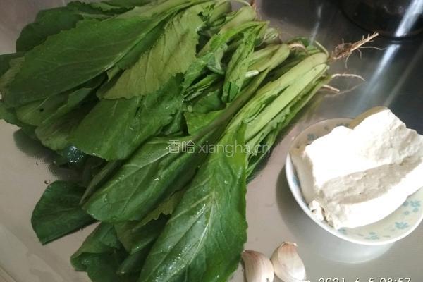 小白菜枸杞豆腐汤的做法图解1
