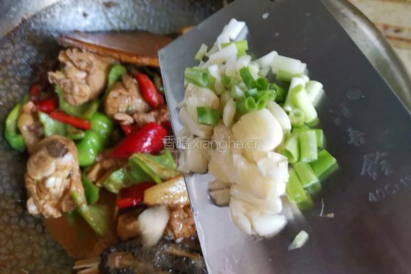 黄豆酱焖鸡肉的做法图解11