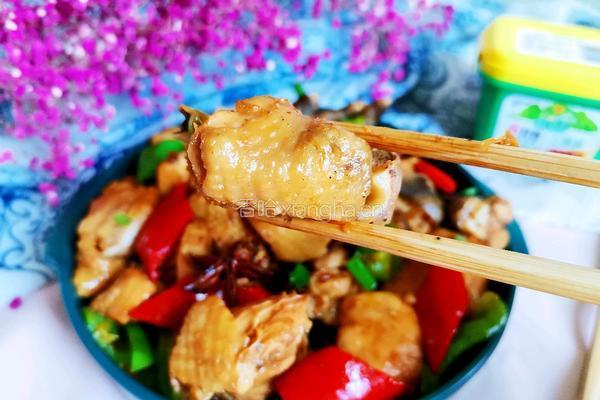 黄豆酱焖鸡肉的做法图解13