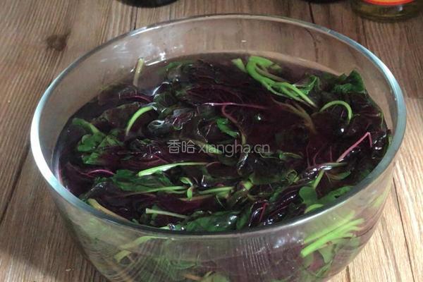仲夏香苋的做法图解10
