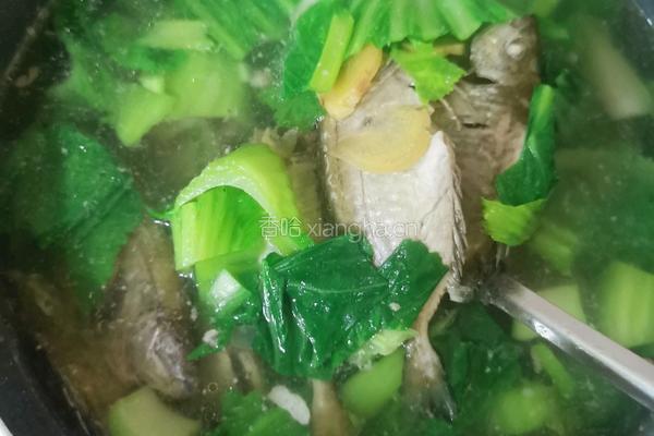 鲜甜的泥猛鱼芥菜汤的做法图解8