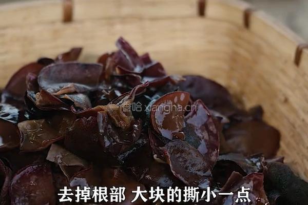 秘密料汁做凉拌木耳 这个料汁拌海带丝黄瓜条都好吃的做法图解2