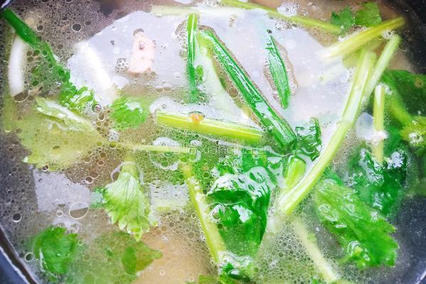 鱼头豆腐汤的做法图解12
