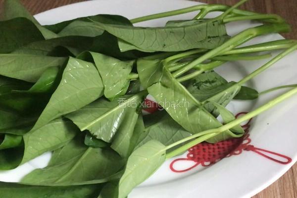 白玉菇豆腐汤的做法图解5