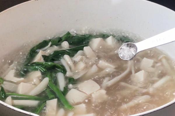 白玉菇豆腐汤的做法图解15