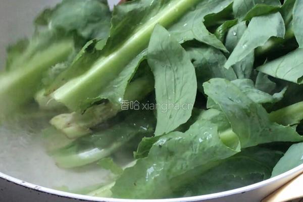 凉拌苦麻菜的做法图解8