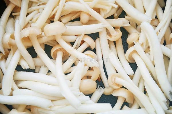 海鲜菇豆腐汆丸子的做法图解9