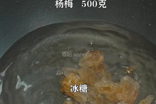 紫苏杨梅桃子姜 夏日饮品 老长沙地道小吃的做法图解4