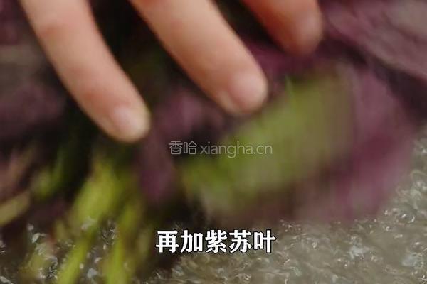 紫苏杨梅桃子姜 夏日饮品 老长沙地道小吃的做法图解5