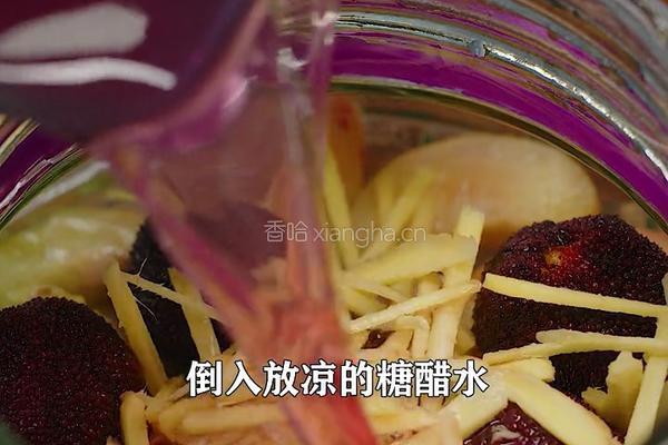 紫苏杨梅桃子姜 夏日饮品 老长沙地道小吃的做法图解8