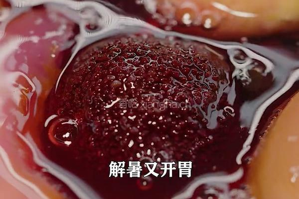 紫苏杨梅桃子姜 夏日饮品 老长沙地道小吃的做法图解9