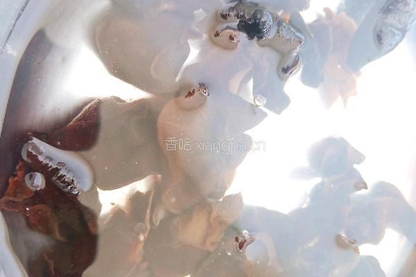 过油肉小花卷的做法图解5