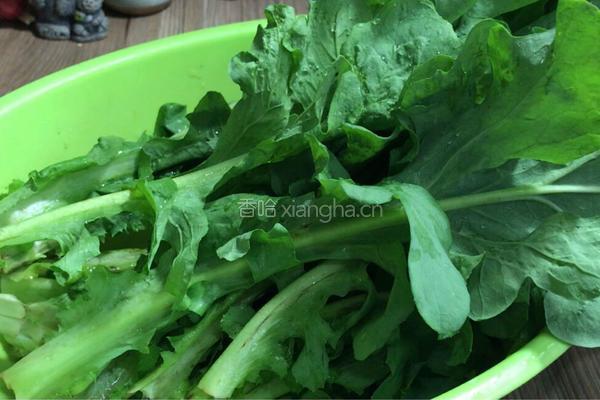 蒜香苦麻菜的做法图解1
