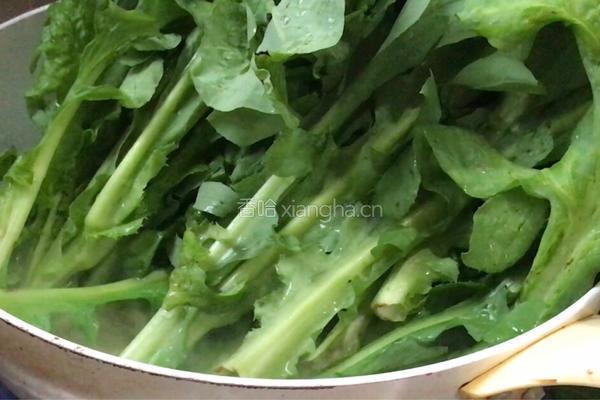 蒜香苦麻菜的做法图解5