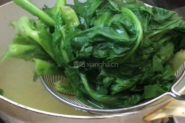 蒜香苦麻菜的做法图解6