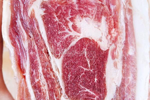 孜然酱香羊肉的做法图解1