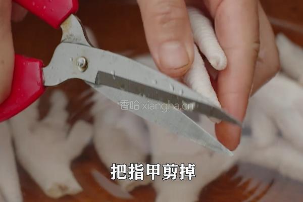 紫苏柠檬泡椒凤爪 口感独特超好吃 酸酸辣辣的做法图解1