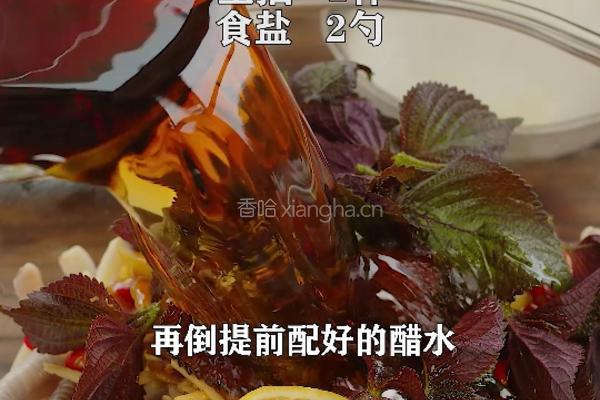 紫苏柠檬泡椒凤爪 口感独特超好吃 酸酸辣辣的做法图解7