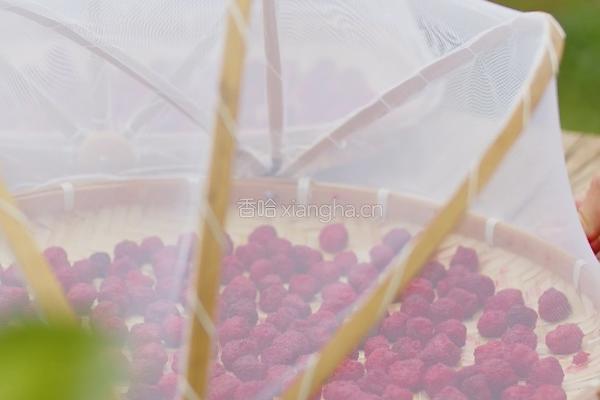 自家种的杨梅做成杨梅干杨梅冰棒 酸酸甜甜的做法图解6