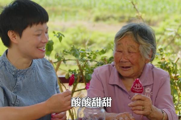 自家种的杨梅做成杨梅干杨梅冰棒 酸酸甜甜的做法图解10