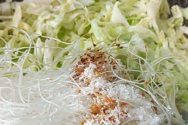 洋白菜炒粉丝的做法图解5
