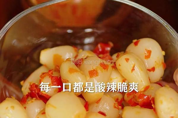酸辣剁椒藠头 专治夏天没胃口的做法图解9