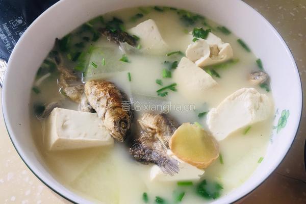 鲫鱼冬瓜豆腐汤的做法图解8