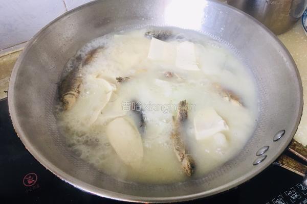 鲫鱼冬瓜豆腐汤的做法图解7