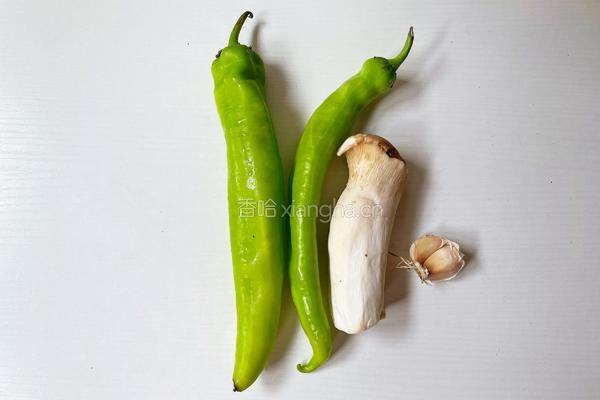青椒炒杏鲍菇的做法图解1