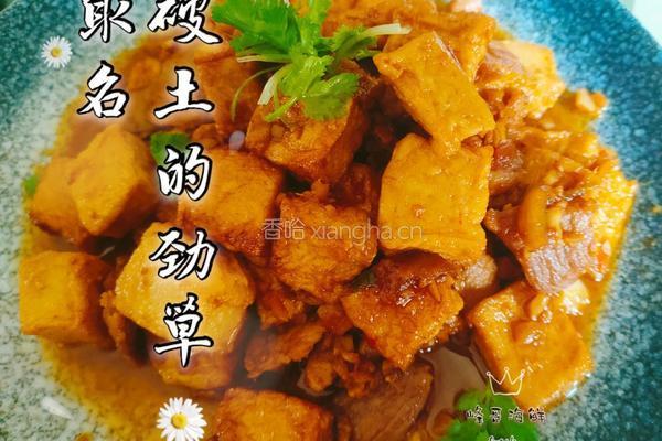 破土的劲草（千叶豆腐炒瘦肉）的做法图解4