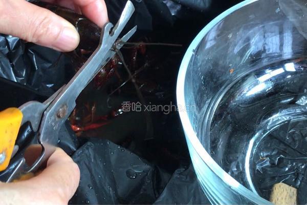 干煸小龙虾的做法图解4