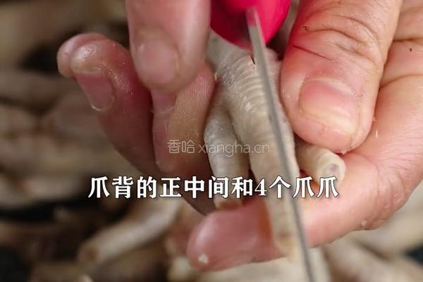 柠檬酸辣无骨鸡爪 当零食和下酒菜都好吃的做法图解5