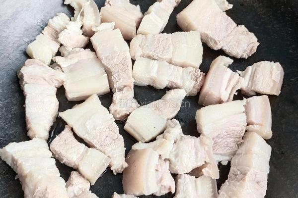 红烧肉的做法图解4