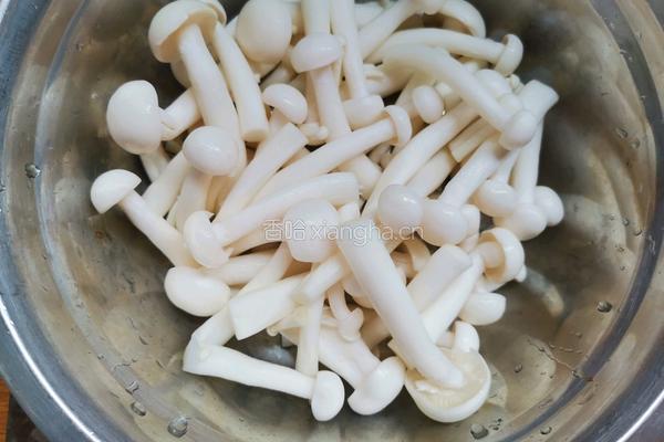 白玉菇豆腐汤的做法图解3