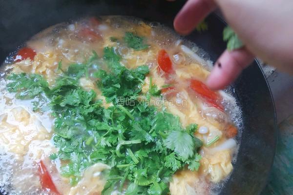 白玉菇豆腐汤的做法图解13