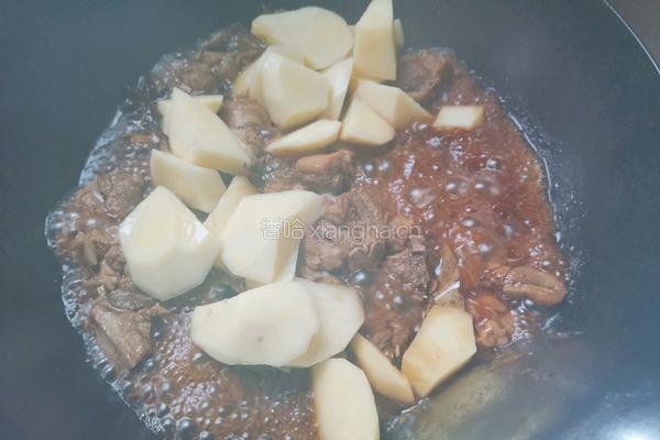 土豆炖鸭腿的做法图解11