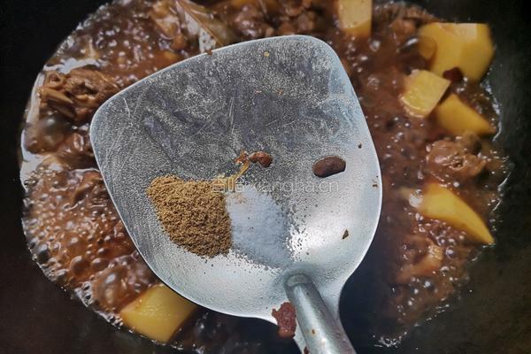 土豆炖鸭腿的做法图解12