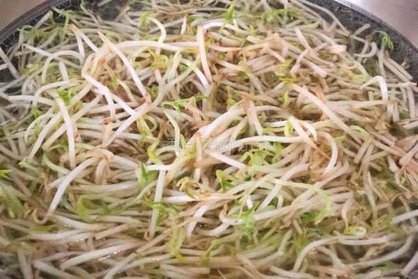 凉拌绿豆芽的做法图解2