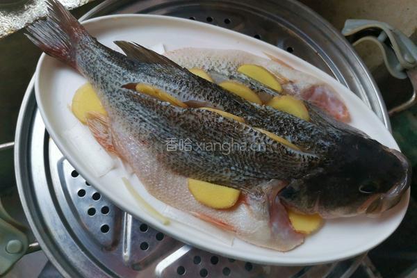 清蒸鲈鱼的做法图解6