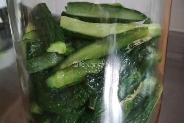 油焖黄瓜的做法图解7