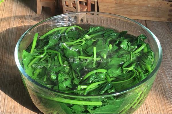 轻食红薯叶的做法图解9