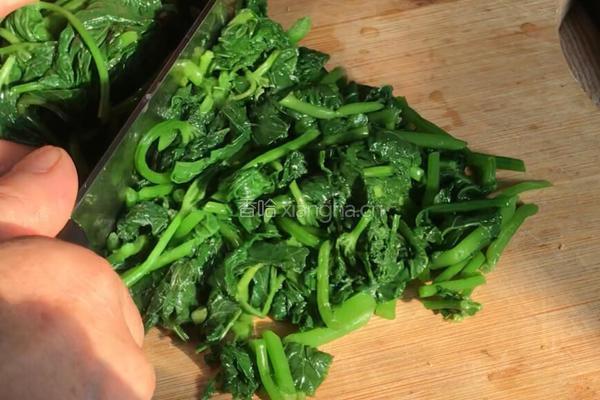 轻食红薯叶的做法图解10