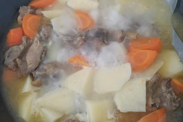 咖喱土豆鸡块的做法图解6