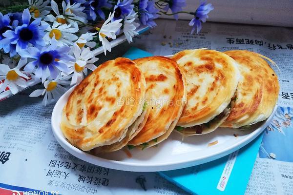 家常肉夹馍的做法图解19
